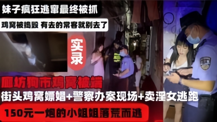 【河北廊坊鸡窝被端实录】妹子疯狂逃窜最终被捉 海报