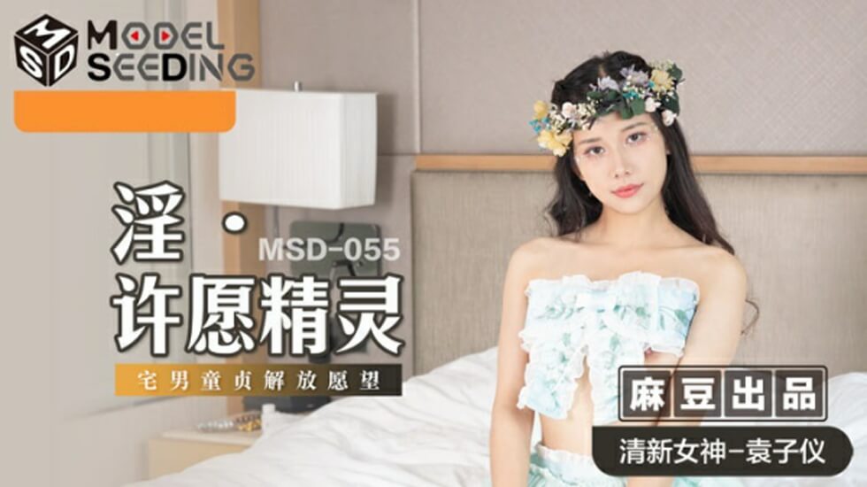 麻豆-淫之许愿精灵-袁子仪 海报